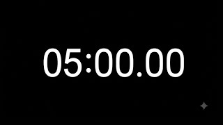 5 Minute Timer ⏱️ | 300 Second Countdown | Silent | No Music