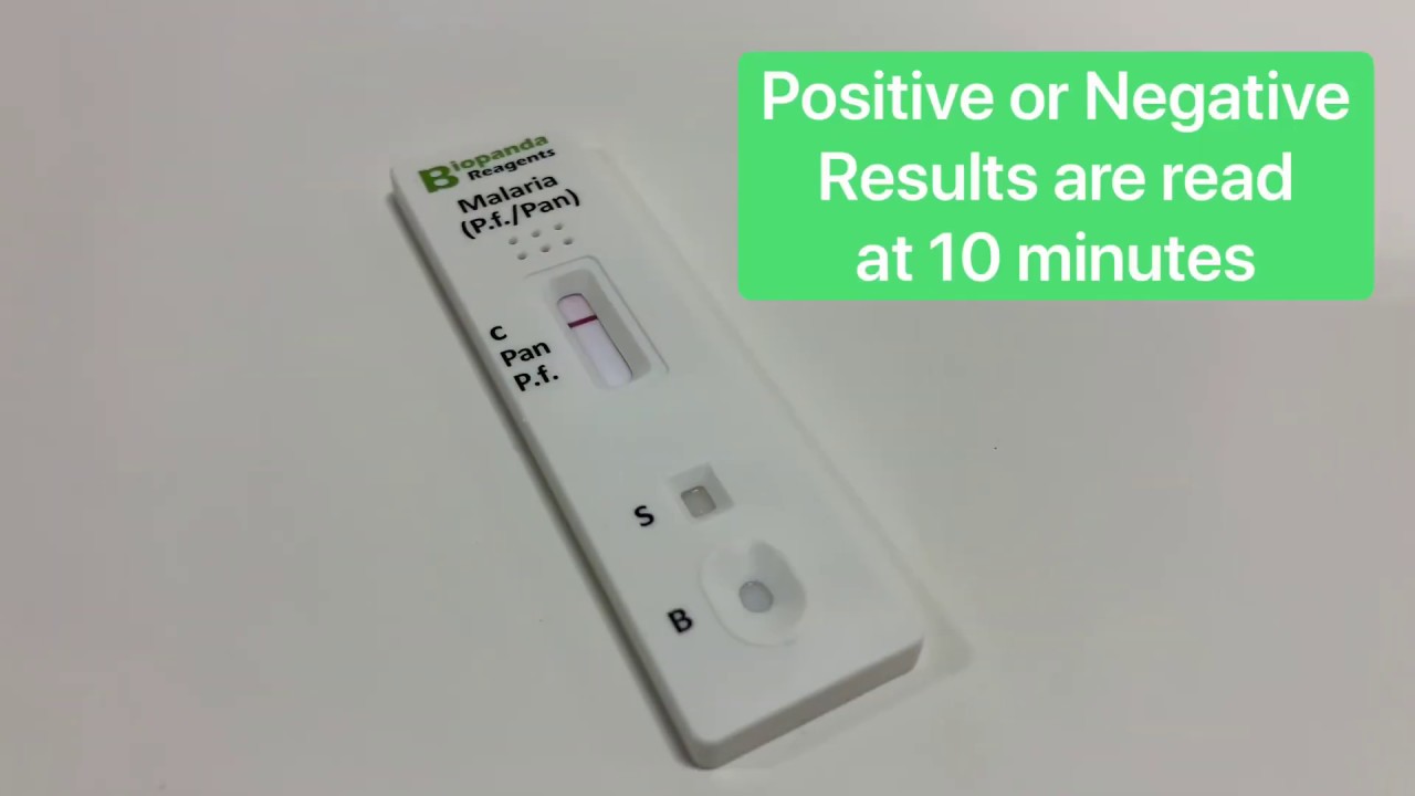 Biopanda Malaria Pf Pan Rapid Diagnostic Test YouTube