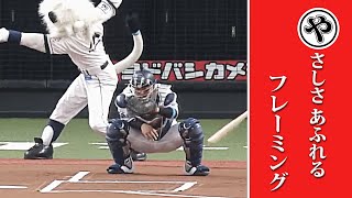 優しさあふれるフレーミング…「本日のまとめるほどではない」まとめ。