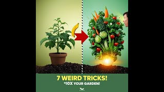7 WEIRD Garden Tricks That 10X Your Yield! Did you know that?
