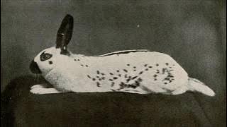 Download lagu Thunderf00t's Theme Song: Riding - Silent Partner (All Monetizable & Free Music)