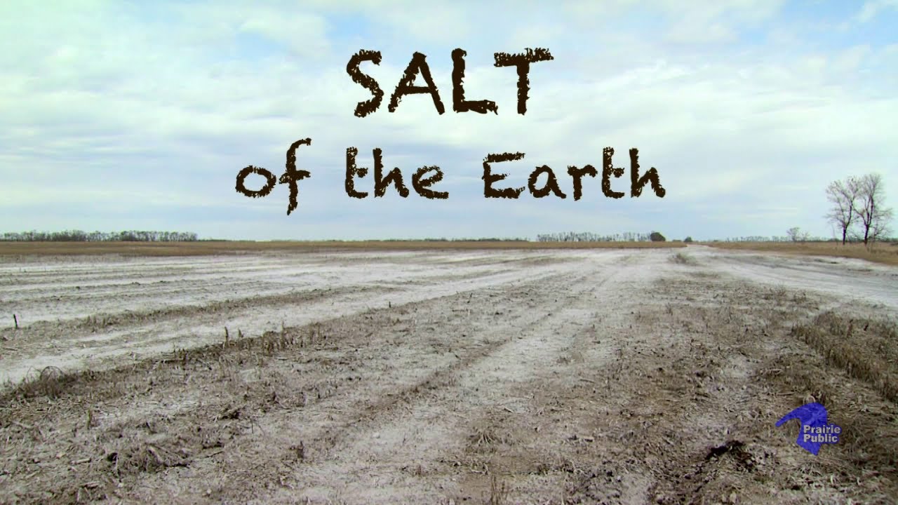 Salt Of The Earth Salt Of The Earth