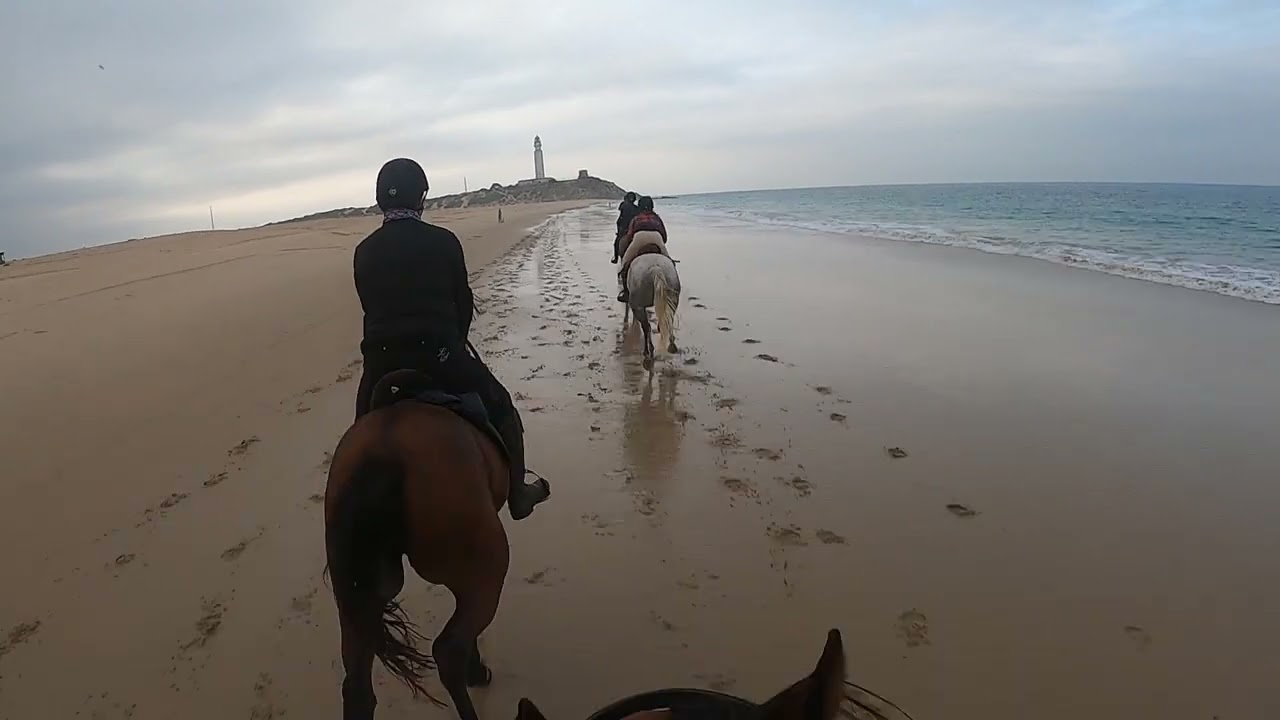 Los Alamos Equestrian Holidays: Beach Gallop on Cape Trafalgar GoPro 9/15/2023
