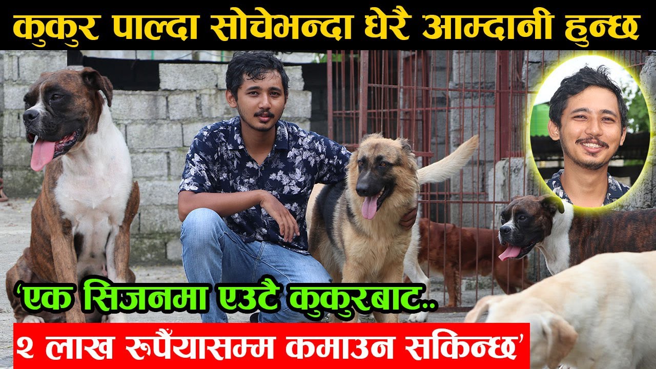 कुकुर पालेर पनि यति धेरै पैसा कमाउन सकिन्छ, कुकुर पाल्ने सुत्रसहितको महत्वपुर्ण भिडियो │Nepal Chitra