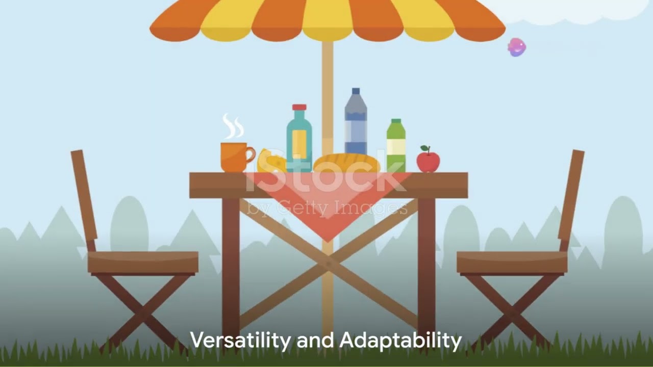 Picnic Cooler  Your Ultimate Guide