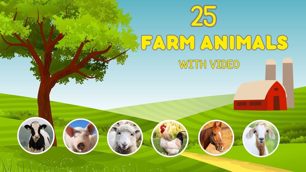 25 FARM ANIMAL TO LEARN | NAMES OF 25 FARM ANIMALS |LEARN FARM ANIMALS FOR KIDS