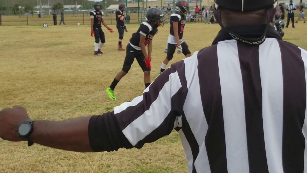 Canes in Florida YouTube