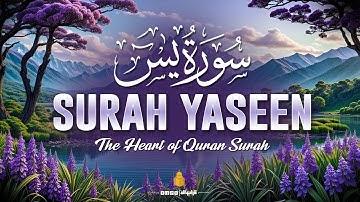 Surah Yaseen (Yasin) سورة يس | by Mishary Al Afasy | with Urdu translation | 4K Quran