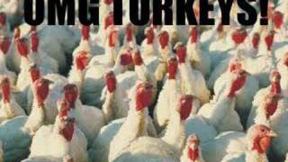 Da Turkey Song chords