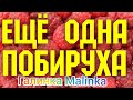 Колесниковы /Ещё одна Побируха /Обзор Влогов /