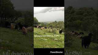 Durmuş Yazıcıoğlu gerizler başı nda