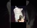 Try not to Get Scared, Scariest Stories. Part 10 #memes