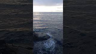 Paignton #music #beach #torquay #seabeach #sea #seashore #ocean #nature