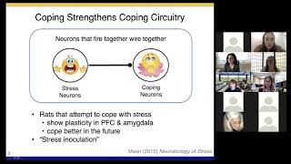 A Neuroscience Framework for Building Emotional Resilience w/Dr. Golnaz Tabibnia