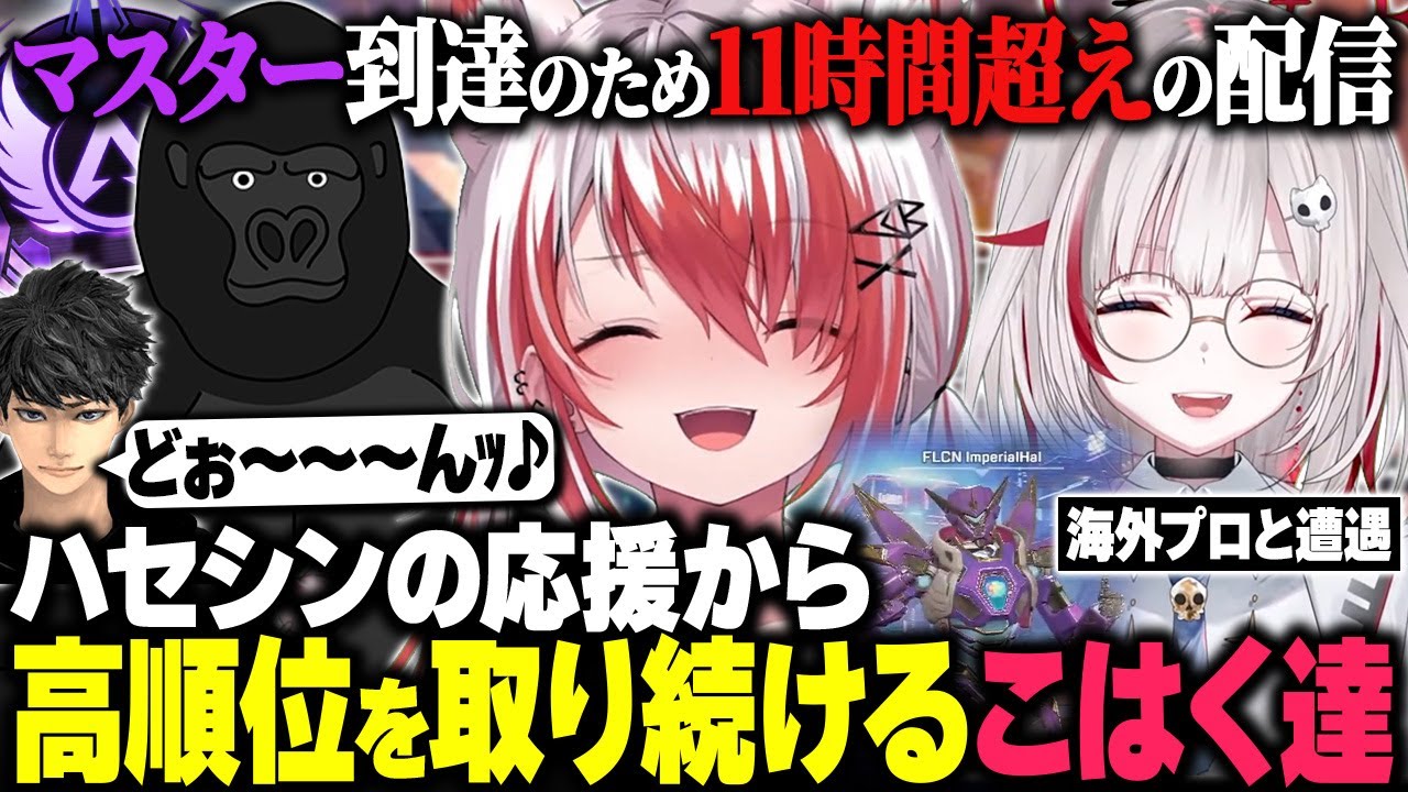 ハセシンが応援に来てから高順位を取り続け800RP盛り返す秋雪こはく達/海外プロと遭遇し思わずスクショするdtto.【APEX/秋雪こはく 切り抜き dtto. バーチャルゴリラ ハセシン】