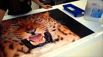 Marashield WA-FXG  Eco-friendly Protection for Digital Prints