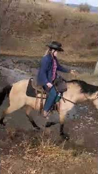 Colonial Dream water crossing