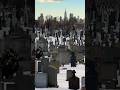 Largest Cemetery in United States is in NYC (over 3 million buried here) #calvarycemetery #nyc
