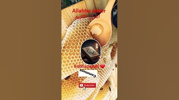 #القران_الكريم #تلاوه_خاشعه قال رب انیی ظلمت نفسی #duet #الشيخ محمود الشحات #foryou