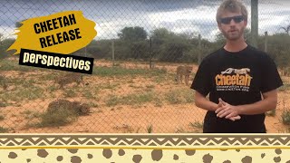 2018 Cheetah Release at CCF