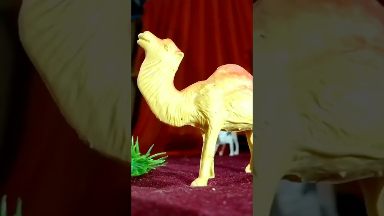 The Lion King 😱🔥