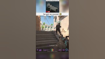 Bro got jumpscared 🤣 #cs2 #csgo #gaming #funny #cs2memes #csgomemes #twitchtv #pngtuber