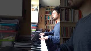 Video thumbnail of "Howl's Moving Castle Piano (El castillo ambulante) - Joe Hisaishi Studio Ghibli"