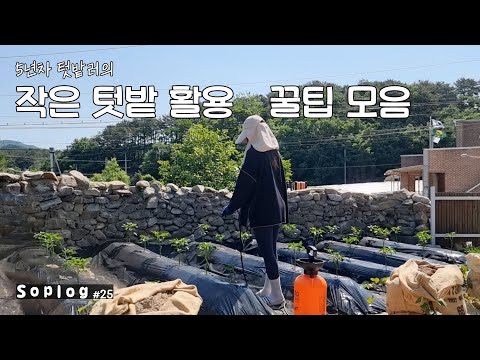 5년 차 텃밭 농부의 텃밭 가꾸는 법 | 잡초 제거하기 | 처음으로 꽃을 심었어요!