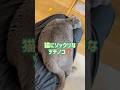 何この生き物‥