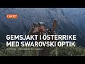 Gemsjakt i Österrike med Swarovski Optik