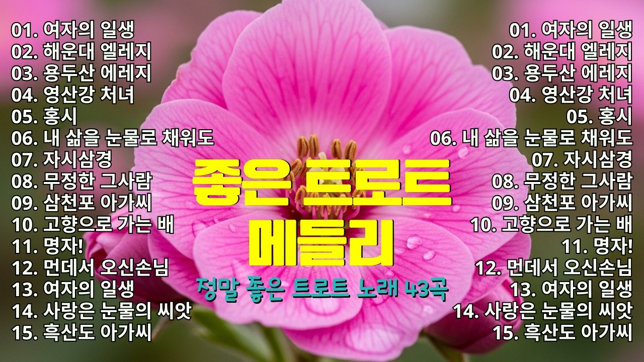 좋은 트로트메들리 🍀 정통 트로트 명곡 모음 🎧 인생 트로트 중년 👉 완벽하게 재편곡된 최고의 트로트 곡들
