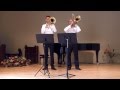 Devils waltz martin schippers  tomer maschkowski bass trombone duet