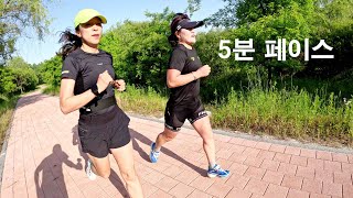 5월 18일 웃으며 16km 러닝 -강서철인클럽