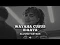 idaaya Ha idilo Jacaylkuye [ Slowed reverb ] Classic Somali Song slowed