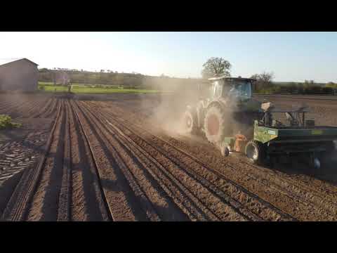 Plantation des pommes de terre 2021