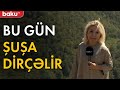 Azad Şuşanın sürətli dirçəlişi - Baku TV
