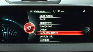 How to access Roadside Assistance in iDrive.