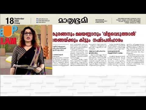 കുരങ്ങനും മലയണ്ണാനും 'വിളവെടുത്താൽ' തേങ്ങയ്ക്കും കിട്ടും നഷ്ടപരിഹാരം | Wildlife Conflict