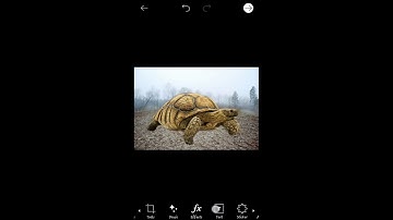 Dramatic Photo Manipulation Effect |   Picsart