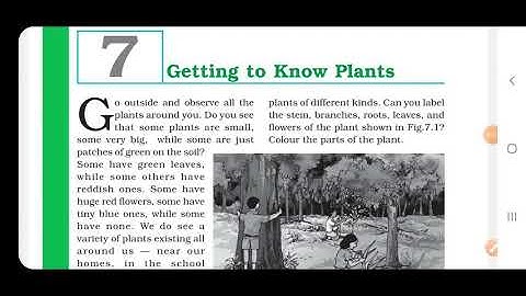Getting to know plants (part-2),chapter 7 ,class 6 ,NCERT, line by line Hindi  explanation