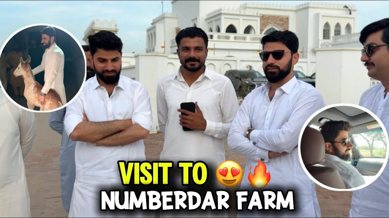 Numberdar Visit To Numberdar Farm House 🏠 ️ || New Horse 🐎 Kab Ly Rahy 🤔 ...