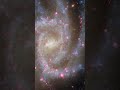 Hubble’s New View of Spiral Galaxy NGC 2835 Reveals Thousands of Glowing Nebulae