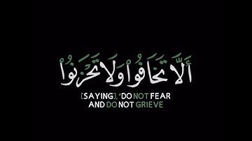 كروما شاشه سوداء قرآن كريم🍁 تلاوة خاشعة من سورة فصلت🍁 القارئ #هاني_العزوني #القرآن_الكريم