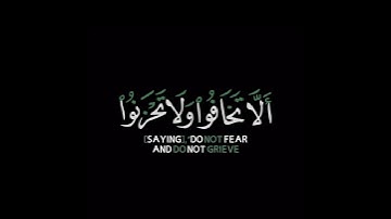 كروما شاشه سوداء قرآن كريم🍁 تلاوة خاشعة من سورة فصلت🍁 القارئ #هاني_العزوني #القرآن_الكريم