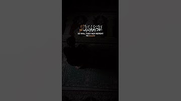 تلاوة قمة في الخشوع 🤍 | افلا يتوبون الى الله