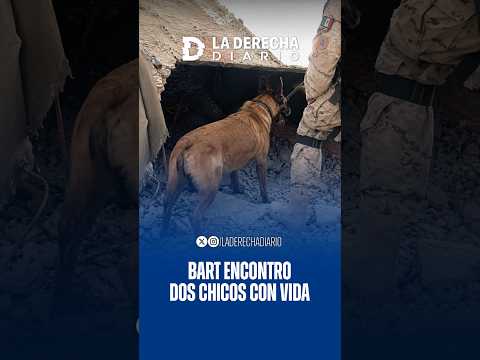 Miniatura del Short: 🐕🇦🇷 Orgullo nacional: un perro argentino fue clave en un rescate en Venezuela