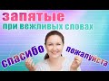 Как ставить запятые со словом пожалуйста, спасибо, здравствуйте, до свидания.