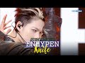 SHAKE FREE ENHYPEN エンハイプン 엔하이픈 Knife KBS WORLD TV 260123