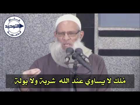 مُلك لا يساوي عند الله  شربة ولا بولة | الشيخ محمد بن سعيد رسلان