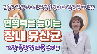 면역력을 좌우하는 장 건강. 가장 좋은 유산균 제품은 무엇일까. 그동안 유산균을 강조하지 않았던 진약사의 속내는..